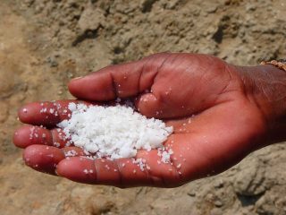 salt   心を強くする メッセージ～メンタルヘルストレーニング  セルフカウンセリング